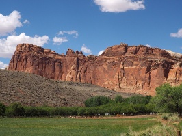 Orchards planted by Mormon settlers contrast with the red cliffs at Fruita