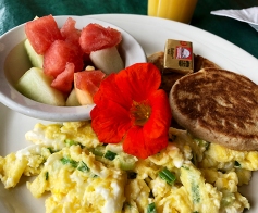 A nasturtium was served with breakfast at the Regis Café in Red Lodge, Montana