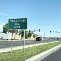 Poison Spider Road, Casper, Wyoming. I wonder if there's a lurid story behind this sign.