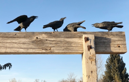 Raven Series, by Jim Eppler (partial view), Benson Sculpture Garden