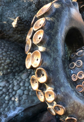 Detail, Pacific Giant, by Adam Scultz, Benson Sculpture Garden